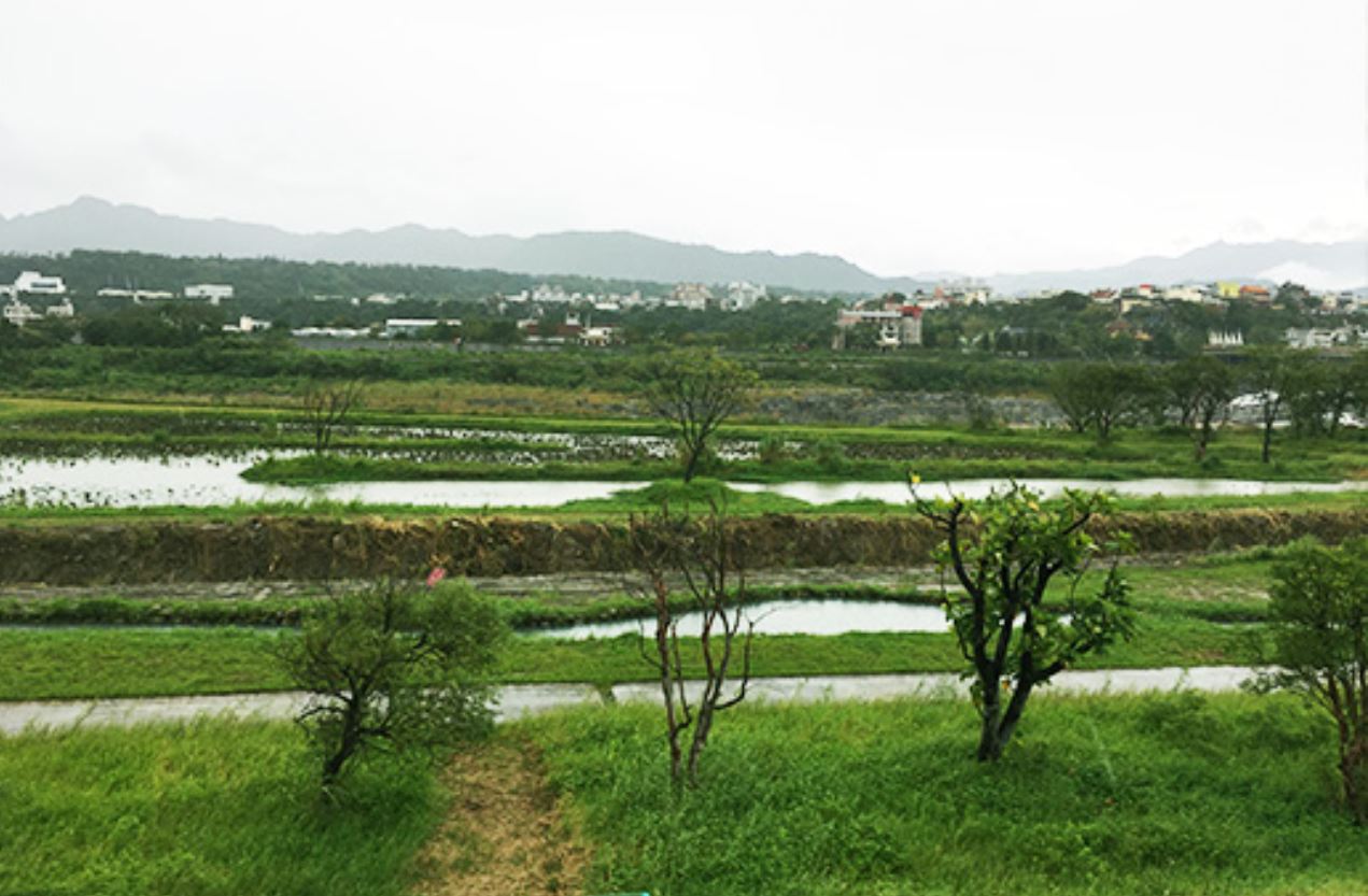 Dakekan constructed wetland along Dahan River, Taoyuan City