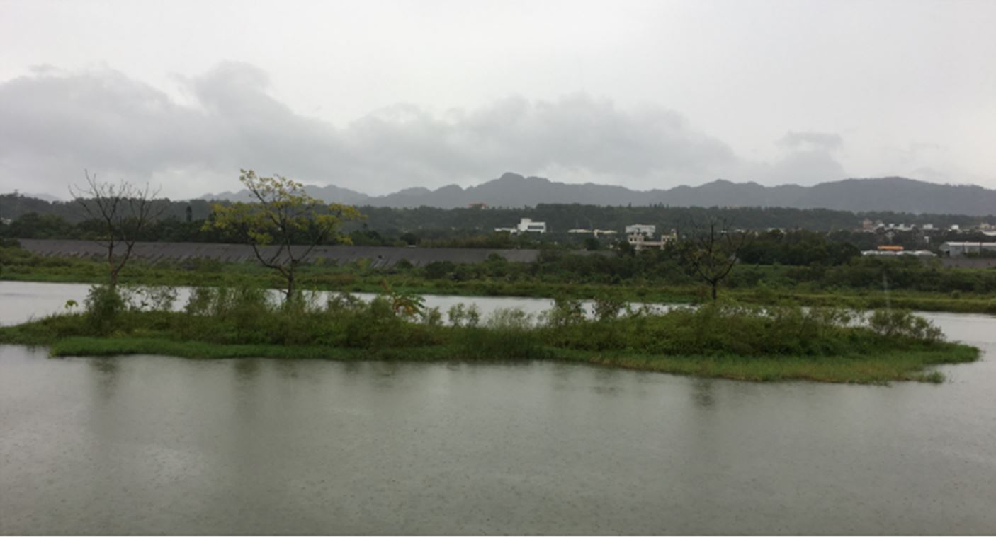 constructed floating wetland and vegetation buffer zone