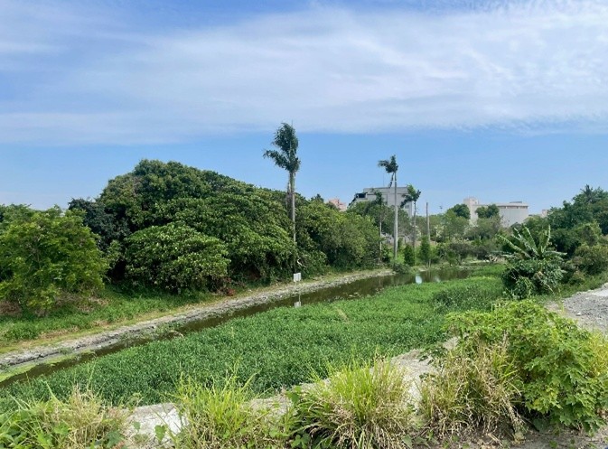 高雄市岡山農工人工濕地