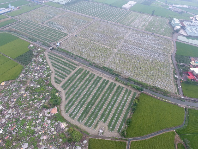 興化廍排水水質淨化場新建工程(施工前)