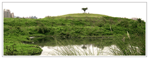 從濕地遠眺河濱公園