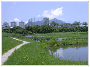 濕地參訪步道