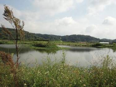 生態陸島提供水鳥良好之棲息繁殖地