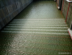 中華水質淨化場-曝氣池曝氣測試