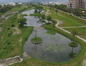 開放水域及密植區