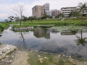 生態池