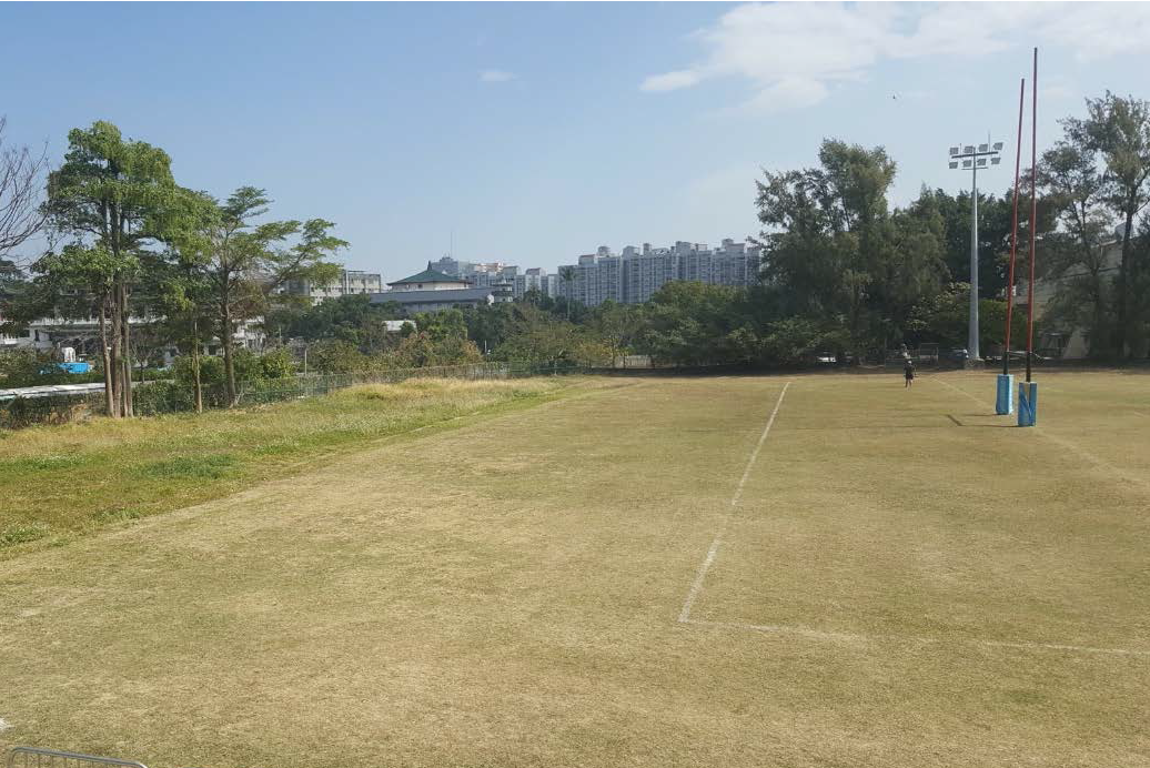 台南體育公園橄欖球場