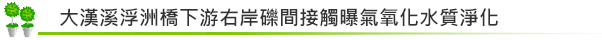 浮洲礫間水質淨化示範工程